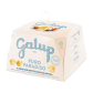 GALUP PANETTONE PARADISO 750G/6