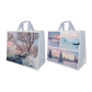 SAC CABAS PP PAYSAGES NEIGE43+20X38CM/25