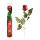 TUBO ROSE CHOCOLAT