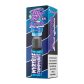Fusion Pod System - Starter Myrtille Framboyante (1% nicotine) x10