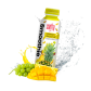  SMOOTHIE MANGUE SOOFTY PET 35CL/20